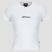 Lyhythihainen t-paita Dickies  WELLSVILLE SS TEE  EU S