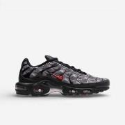 Kengät Nike  Air Max Plus Topography Pack  40