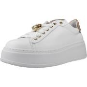 Kengät Gio +  PIA244B  36