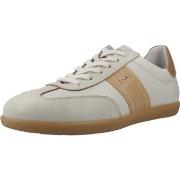 Kengät NeroGiardini  E612855D  37