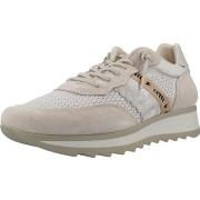 Kengät Cetti  Sport   Zapatillas Mujer Modèle C849sra Rej  36