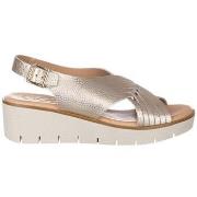 Sandaalit Zapp  2451  36