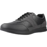 Kengät Geox  Sport   Zapatillas Hombre Modèle U Avery  41