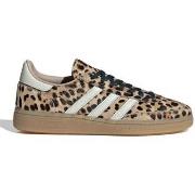 Kengät adidas  Spezial  38