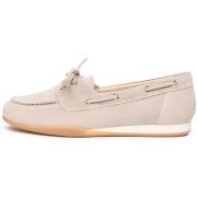 Kengät NeroGiardini  Velour Tr Dogna Ambra/Avori  36