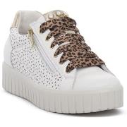 Kengät IgI&CO  ARES BIANCO  36