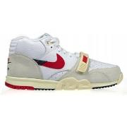 Kengät Nike  DZ2547100  43