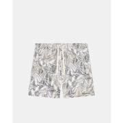 Shortsit & Bermuda-shortsit EAX  XM002384 AF24635  EU S