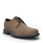 Kengät Timberland  STORMBUCKS OX  41