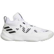 Tennarit adidas  Pro N3Xt 2021  37 1/3