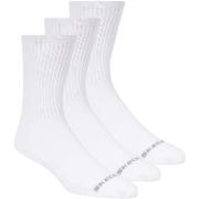 Urheilusukat Skechers  3pk Unisex Non Terry Crew  43 / 46