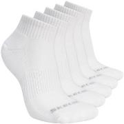 Urheilusukat Skechers  5pk Unisex 1/2 Terry Qtr Crew  39 / 42