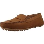 Kengät Geox  Mocasines Mujer Modèle D Kalistena  36