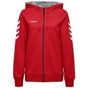 Svetari hummel  Sweat à capuche  Go Cotton  EU XL