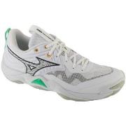 Kengät Mizuno  Wave Momentum Elite  41
