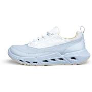 Kengät Ecco  Biom 720 GTX  36