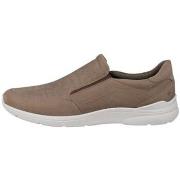 Tennarit Ecco  Irving  42