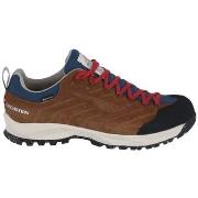 Kengät Dachstein  SF-21 GTX  42