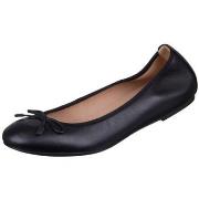 Tennarit Unisa  Acor26black  37