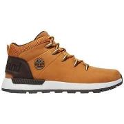 Kengät Timberland  Chaussures  Sprint Pulls jaune  44 1/2
