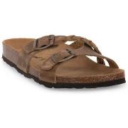 Sandaalit Bioline  233 BISCOTTO INGRASSATO  37