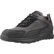 Kengät Geox  Sport   Zapatillas Hombre Modèle U Terrestre B Abx  43