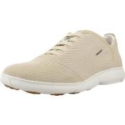 Kengät Geox  Sport   Zapatillas Mujer Modèle D Nebula 2.0  35
