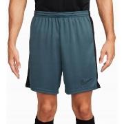 Shortsit & Bermuda-shortsit Nike  DV9742328  EU L