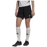 Shortsit & Bermuda-shortsit adidas  Entrada 22  EU XXL