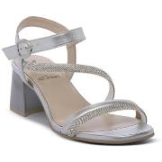 Sandaalit NeroGiardini  NERO GIARDINI  700 NETTUNO PHARD  37