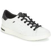 Kengät Geox  JAYSEN  37