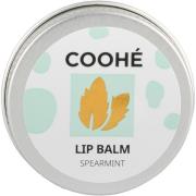 Lip Balm,  Coohé Huulirasva