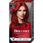 Schwarzkopf Brillance 842 Cashmere Red - pcs 1