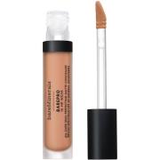 bareMinerals BarePro All Over Skin Perfecting Conceal Light 255 Neutra...