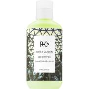R+Co Super Garden  Shampoo - 177 ml