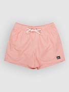 Quiksilver Everyday Deluxe Volley 15 Surffishortsit kuviotu