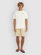 O'Neill Hybrid 19" Shortsit