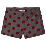 Dr Kid Dotted Shorts Gray 6 years