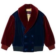 The Animals Observatory Tiger Jacket Navy Blue Yellow Tao 2 Years