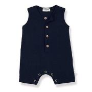 1+ in the family Pino Romper Blue Notte 6 Months
