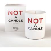 Juliette Has A Gun Not A Collection Not A Candle 180 g