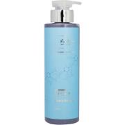 Re-Born Highlight Conditioner 500 ml