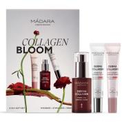 Madara Collagen Bloom Set