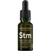 Madara Custom Active Plant Stem Cell Concentrate 17 ml