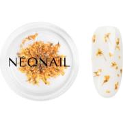 NEONAIL Dried Flowers 03 - Orange