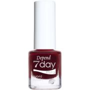 Depend 7day Holiday Selection 70127