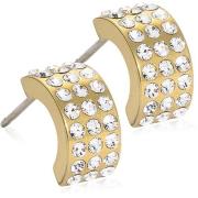 Blomdahl Golden Titanium Pendant Grand Brilliance Curved 10 mm, C