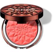 By Terry Tea to Tan Powder Blush N4  Crush