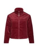 Urban Classics Välikausitakki 'Corduroy Puffer Jacket'  burgundin puna...