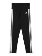 ADIDAS SPORTSWEAR Urheiluhousut 'Essentials'  musta / valkoinen